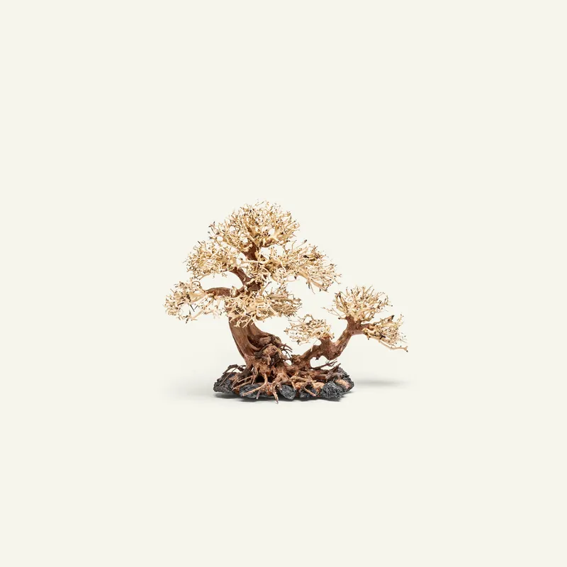 UNS Bonsai 011 - UNSHARDSCAPE