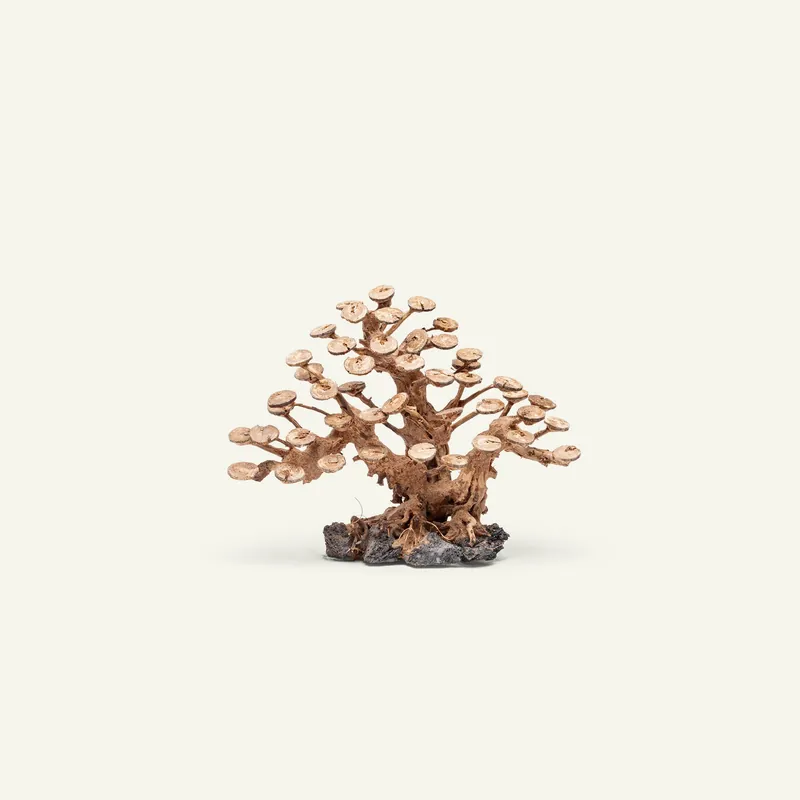 UNS Bonsai 016 - UNSHARDSCAPE