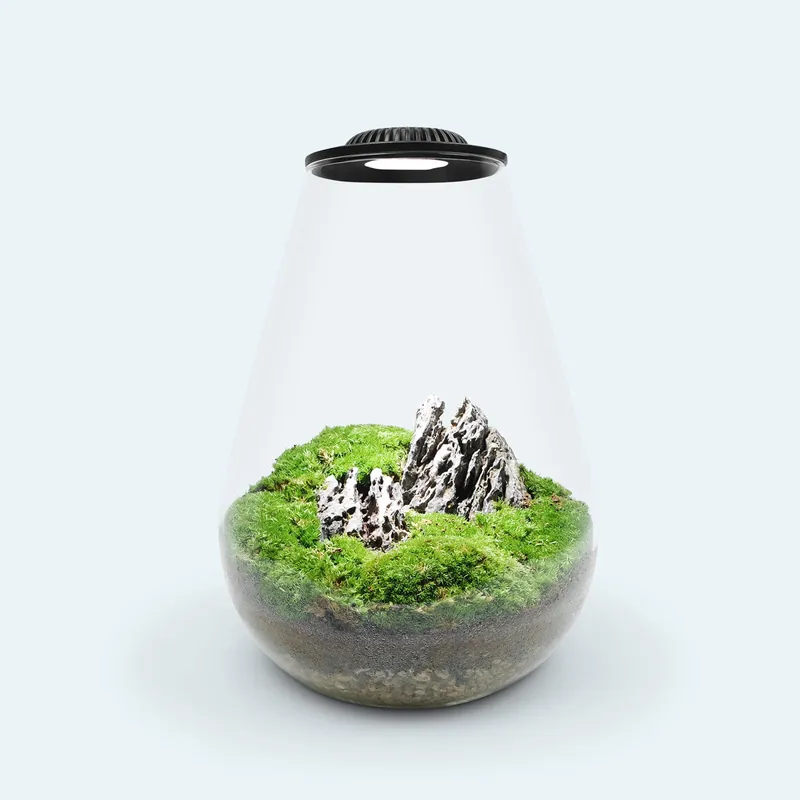 Bio Bowl Terrarium - Ultum Nature Systems