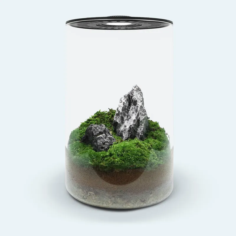Bio Cylinder Terrarium - Ultum Nature Systems