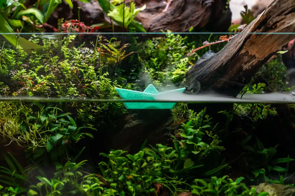 Glass Aqua Boat