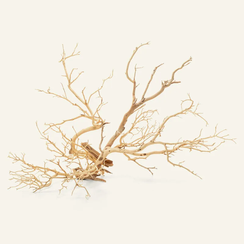 Sandblasted Manzanita Driftwood - UNSHARDSCAPE