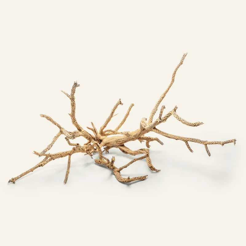 Cholla Driftwood Tree - UNSHARDSCAPE