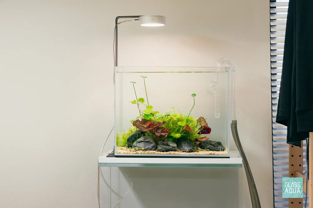 Build Your Own Aquarium Kit - Betta Tank