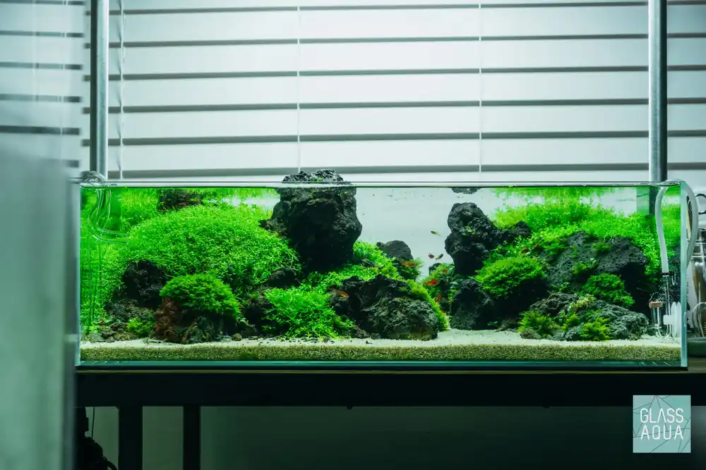 Build Your Own Aquarium Kit - Shallow Tank