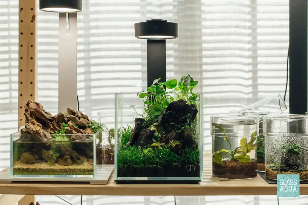 Build Your Own Aquarium Kit - Desktop Tank