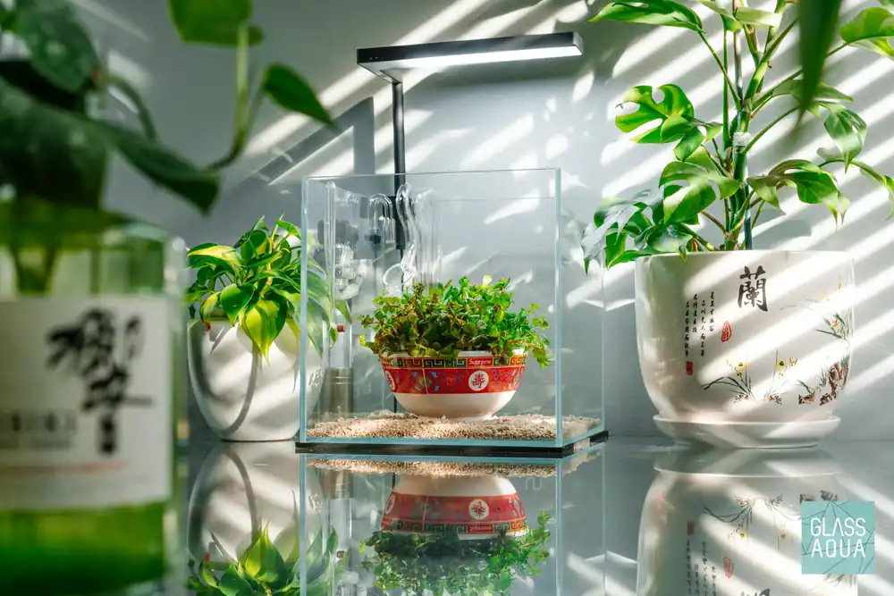 Build Your Own Nano CO2 Kit - Glass Aqua
