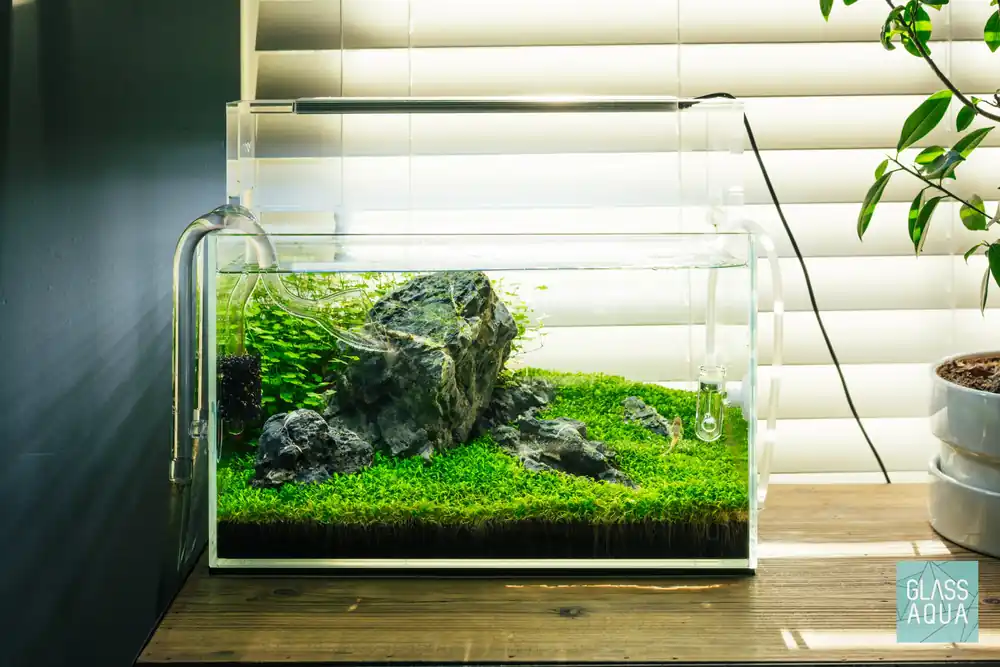 Build Your Own Aquarium Kit - Nano Tank