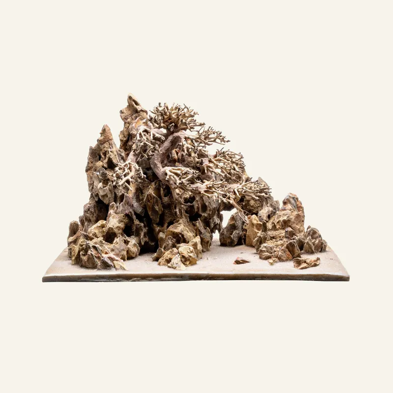Build Your Own Pre-Scaped Tank