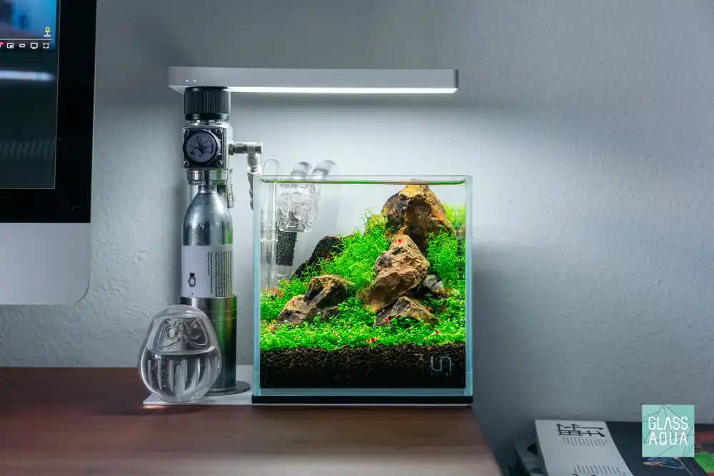 Build Your Own Aquarium - Shrimp Tank