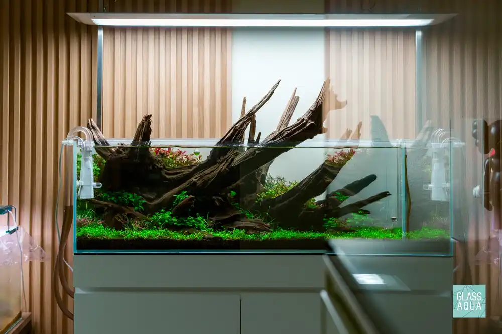 Build Your Own Pro CO2 Kit - Glass Aqua