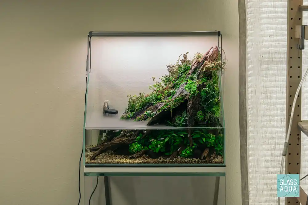 Build Your Own Paludarium Kit - Glass Aqua