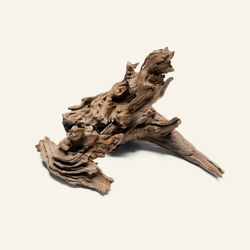Pacific Driftwood Stump - UNSHARDSCAPE