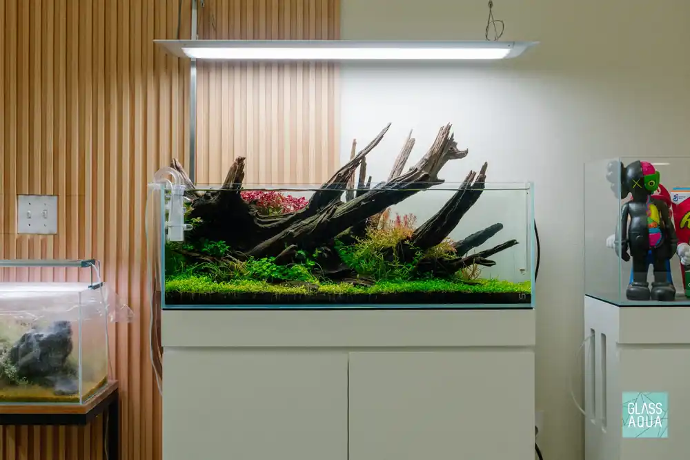 Build Your Own Aquarium Kit - Long Tank