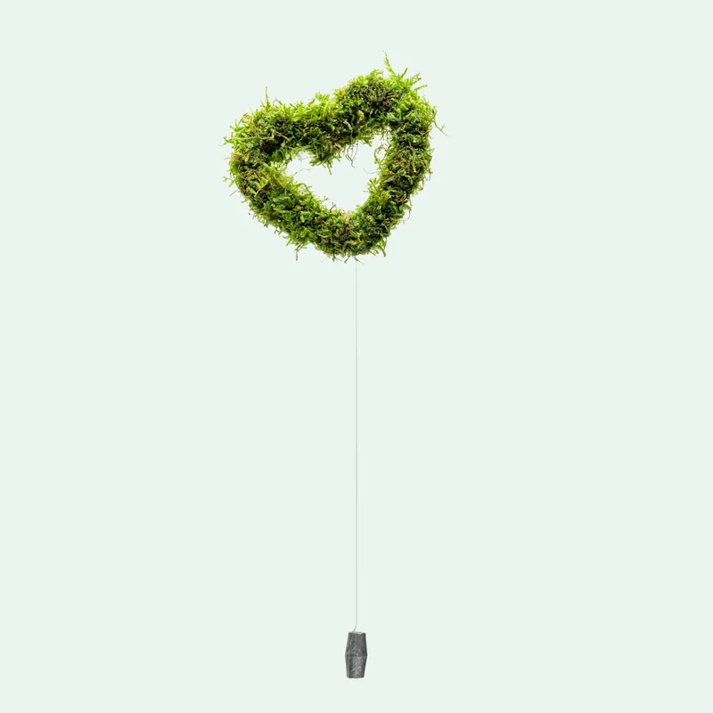 Floating Moss Heart - ACW