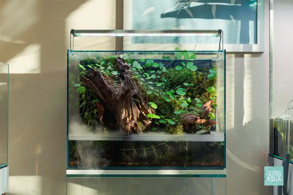 Build Your Own Integrated Paludarium Kit - Glass Aqua