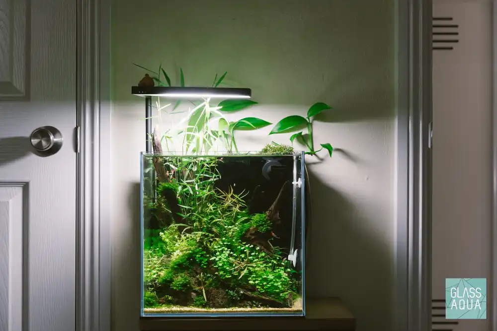 Build Your Own Aquarium Kit - All In One Tank