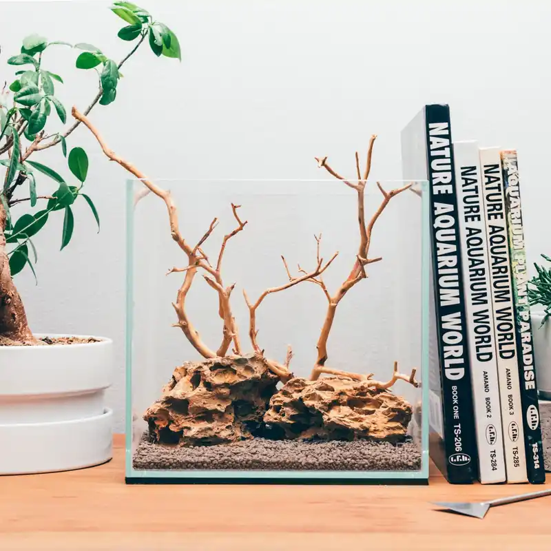 Build Your Own Beginner Aquarium Kit - Glass Aqua
