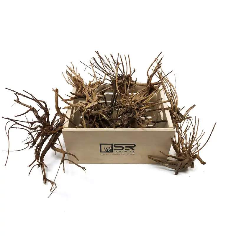 SR Aquaristik Pine Spider Wood / Tiger Wood