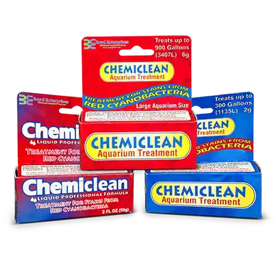 Boyd ChemiClean Cyanobacteria Remover - Boyd Enterprises