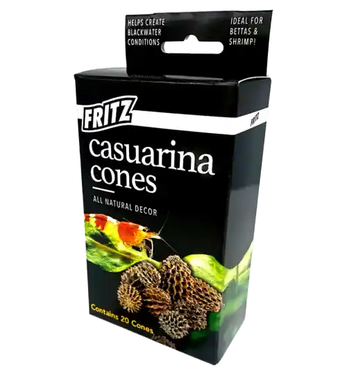 Fritz Casuarina Cones 20 Count