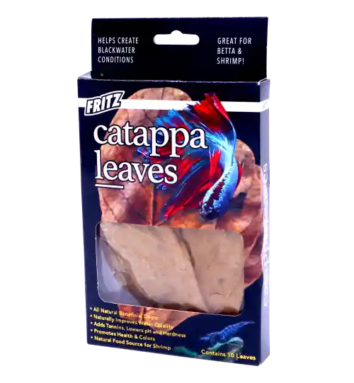 Fritz Catappa Leaves 10 Count