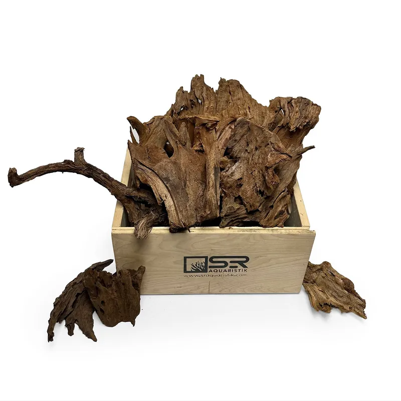 SR Aquaristik Malaysian Mangrove Driftwood