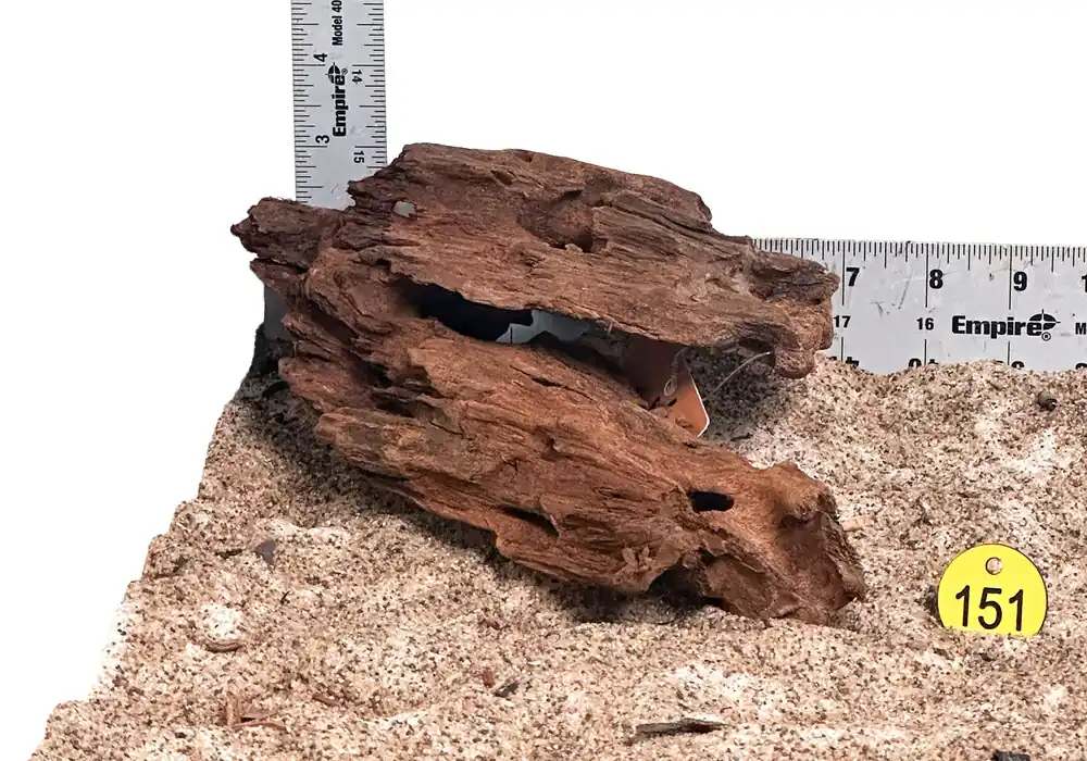 WYSIWYG 151Y - 260218 - Malaysian Mangrove Wood (Small)