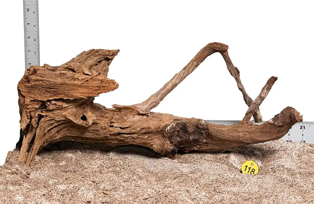 WYSIWYG 118Y - 260218 - Malaysian Mangrove Wood (Large)