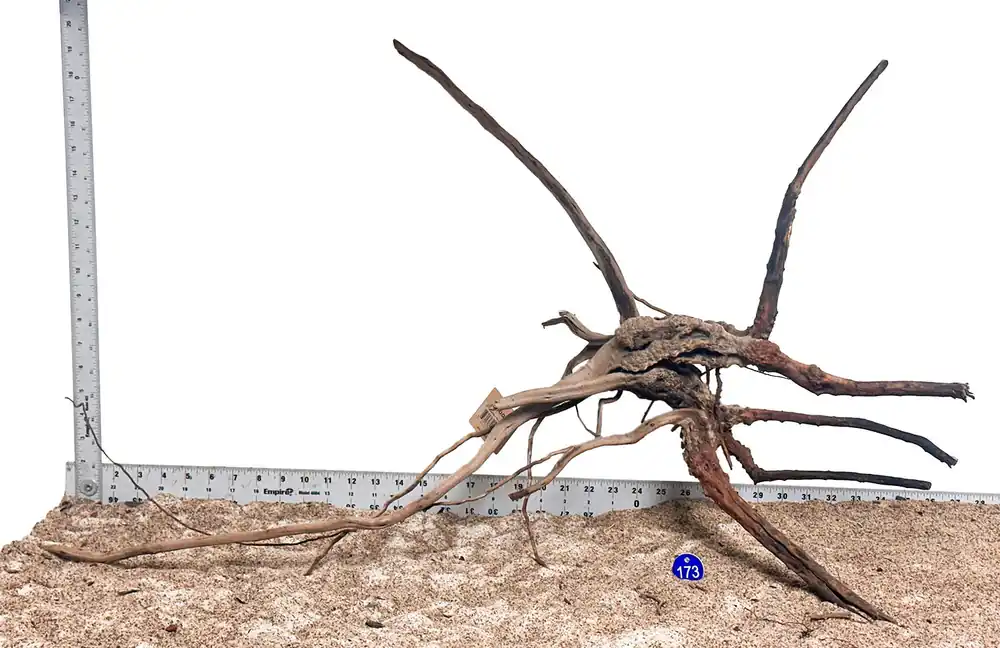 WYSIWYG 173BU - 260218 - Pine Spider Wood (XL)