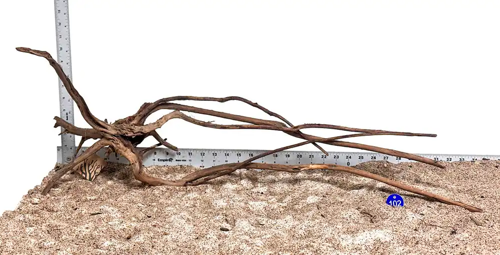 WYSIWYG 102BU - 260218 - Pine Spider Wood (XL)