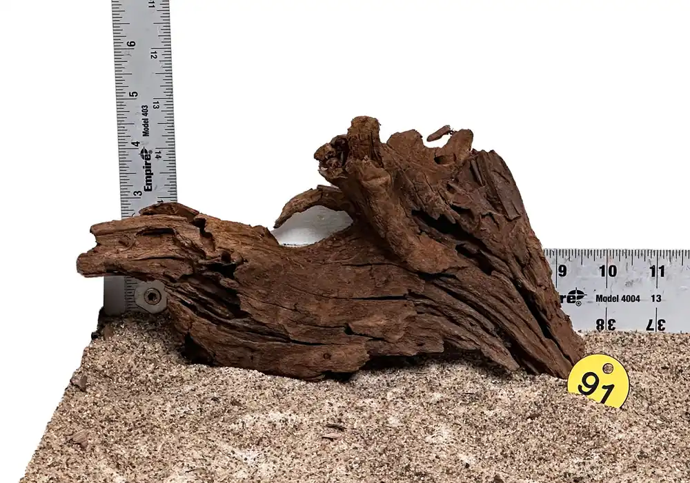 WYSIWYG 91Y - 260325 - Malaysian Mangrove Wood (Small)