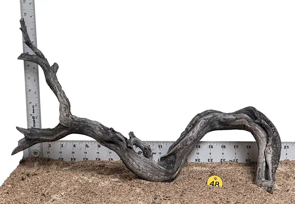 WYSIWYG 48Y - 260325 - Manzanita Wood (Large)