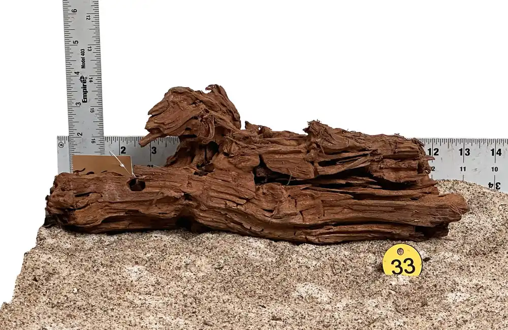 WYSIWYG 33Y - 260502 - Malaysian Mangrove Wood (Medium)