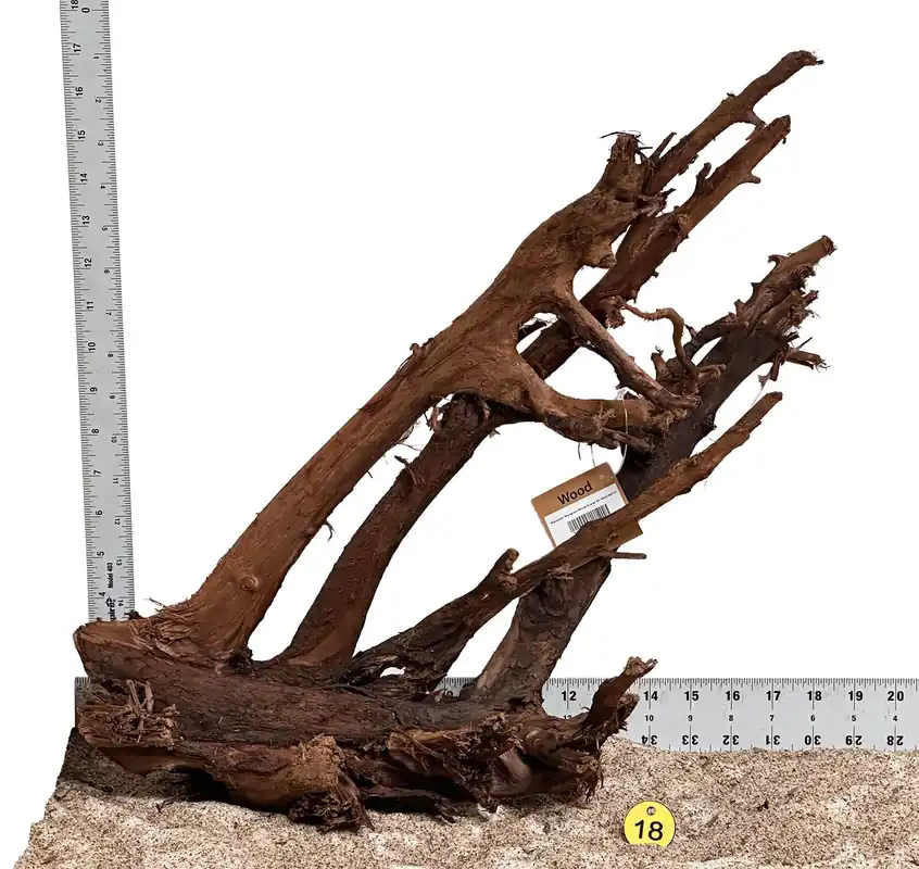 WYSIWYG 18Y - 260502 - Malaysian Mangrove Wood (Large)