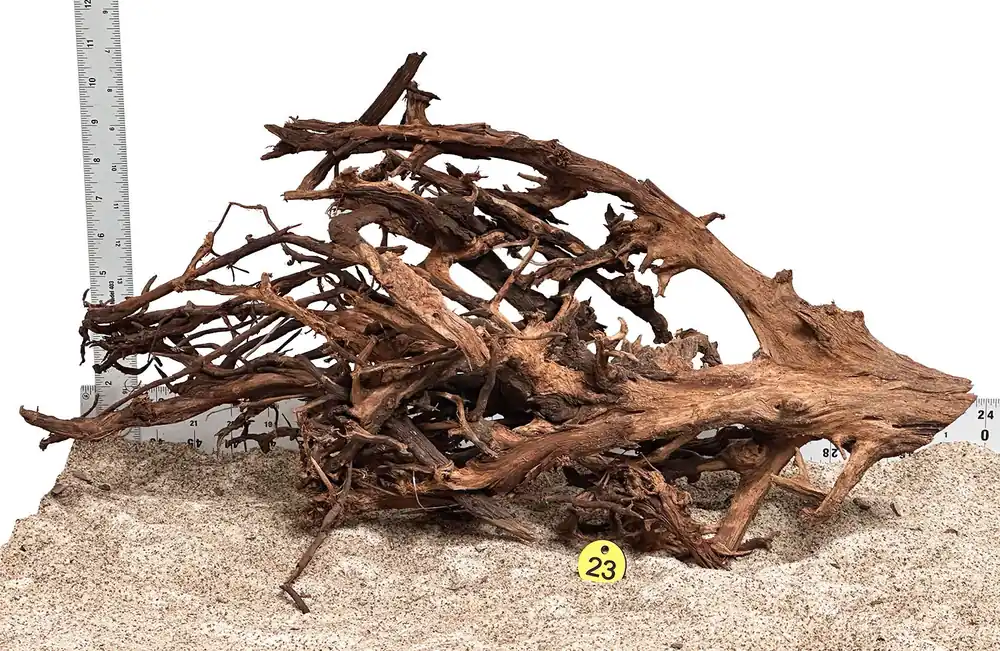 WYSIWYG 23Y - 260502 - Malaysian Mangrove Wood (XL)