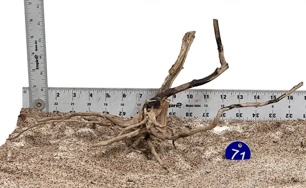WYSIWYG 71BU - 260502 - Black Spider Wood (Small)
