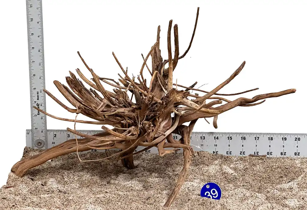 WYSIWYG 39BU - 260520 - Pine Spider Wood (Medium)