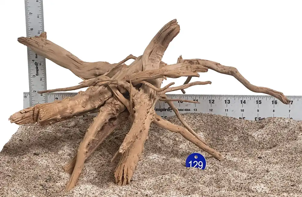 WYSIWYG 129BU - 260520 - Pine Spider Wood (Medium)