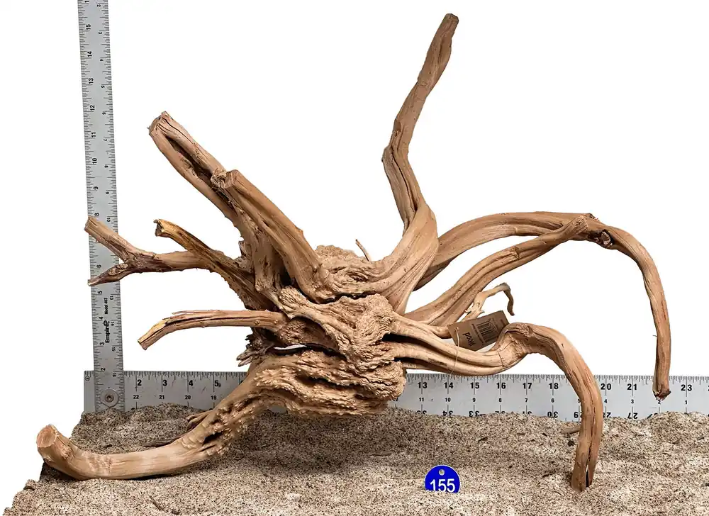 WYSIWYG 155BU - 260520 - Pine Spider Wood (Large)