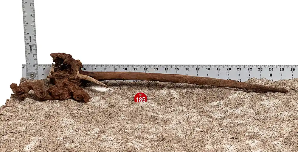 WYSIWYG 185RD - 260520 - Gnarly Wood (Large)