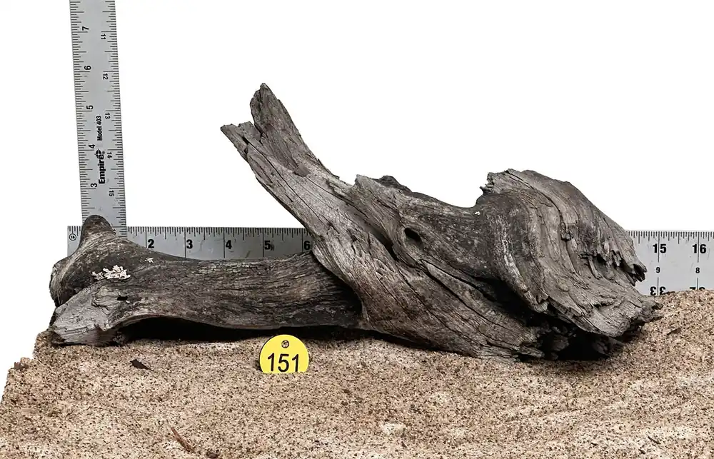 WYSIWYG 151Y - 260520 - Manzanita Wood (Medium)