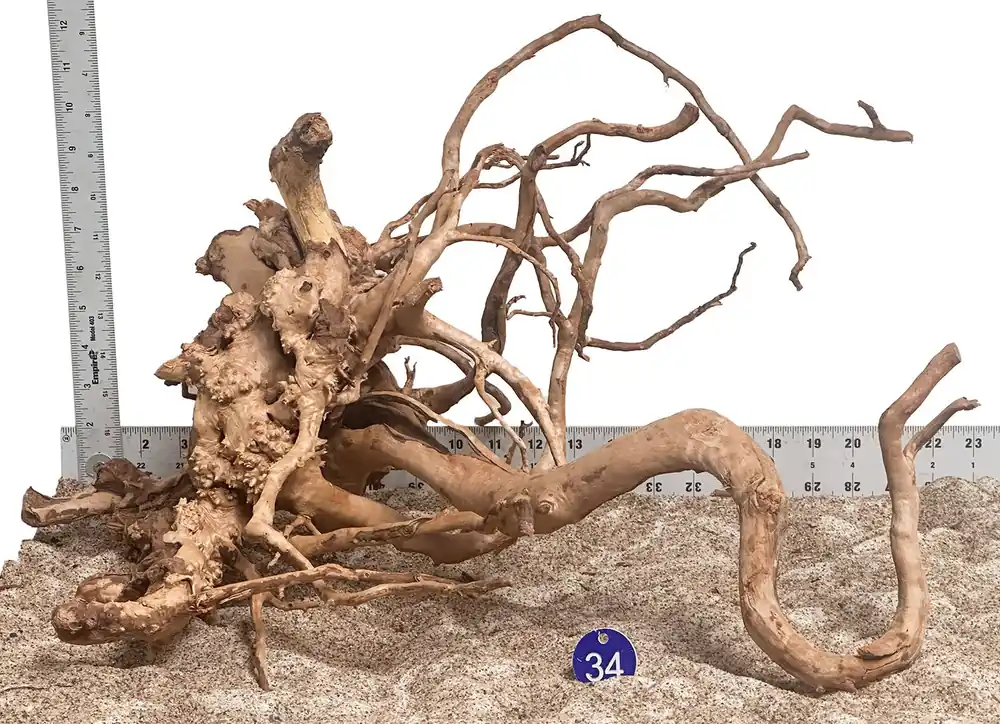 WYSIWYG 34BU - 260520 - Spider Wood (XL)