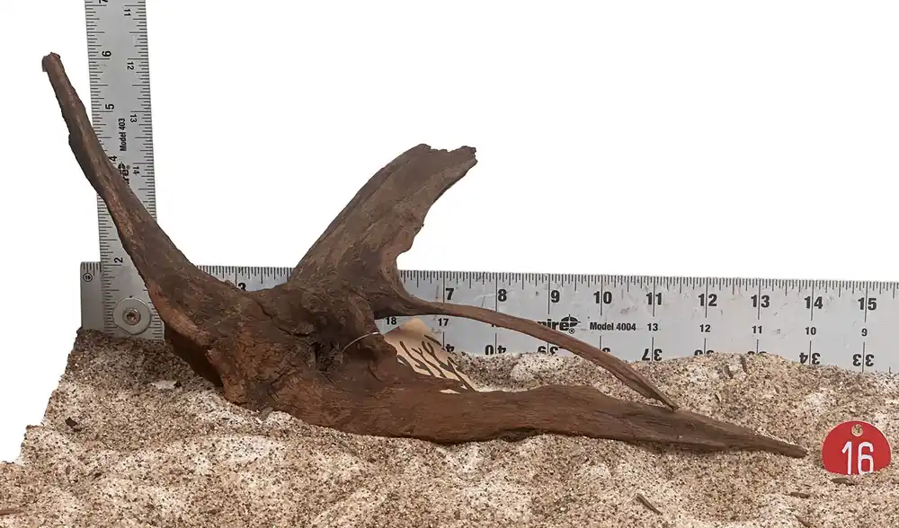 WYSIWYG 16RD - 260520 - Weathered Driftwood (Small)