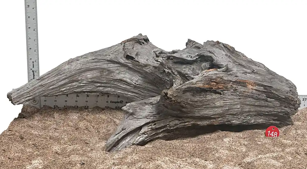 WYSIWYG 148RD - 260520 - Weathered Driftwood (XL)