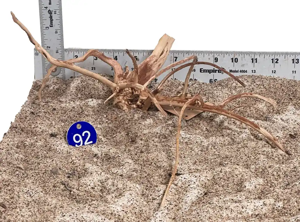 WYSIWYG 92BU - 260520 - Weathered Spider Wood (Small)