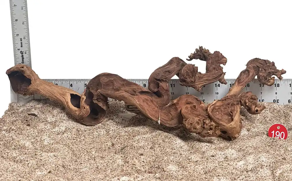 WYSIWYG 190RD - 260616 - Gnarly Wood (Large)
