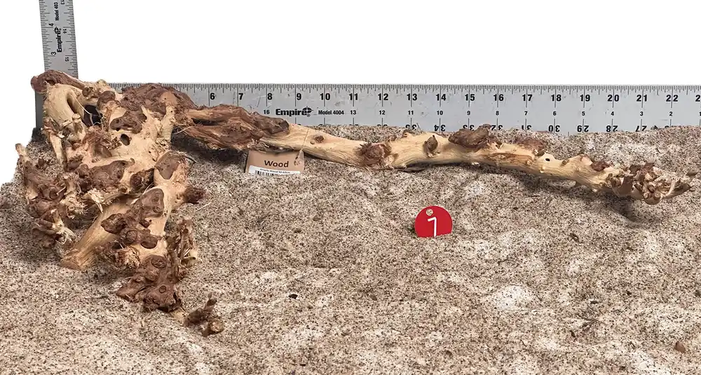 WYSIWYG 7RD - 260616 - Gnarly Wood (XL)