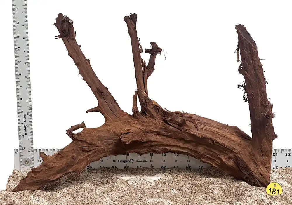 WYSIWYG 181Y - 260616 - Malaysian Mangrove Wood (Large)