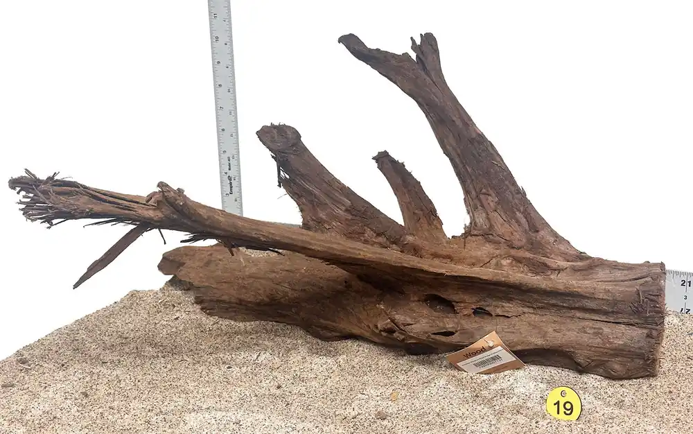 WYSIWYG 19Y - 260616 - Malaysian Mangrove Wood (XL)